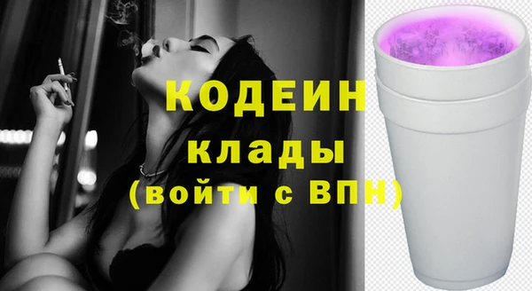МДПВ Михайлов