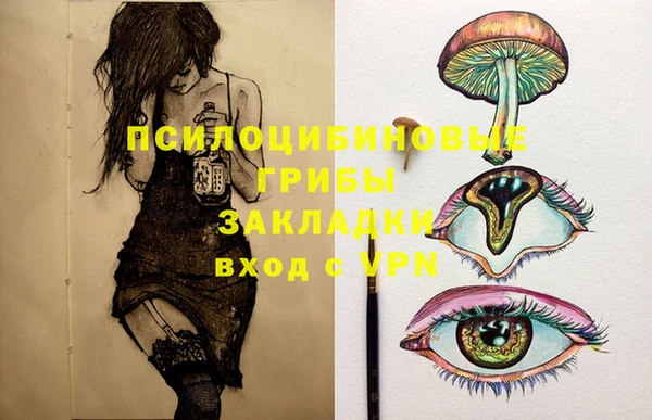 МДПВ Михайлов